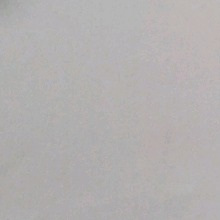 Guest_HannieMarie