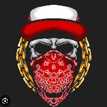 Guest_Zorro1
