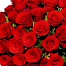 Guest_Ra22Princesa