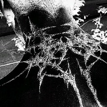 Guest_Zeeink