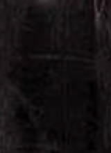 Guest_LUXXI6