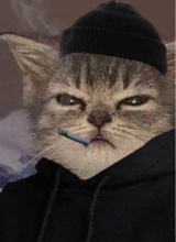 smuff