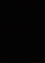 صورة الـavatar