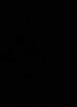 Guest_xoxomaria3