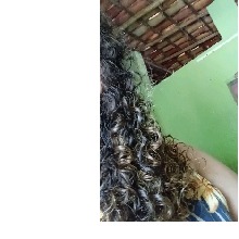 Guest_MarcelinhaSantana