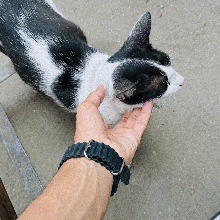 Guest_Zaynivu