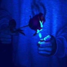 Guest_EliBellie