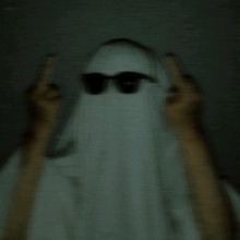 Guest_VENZO4