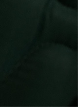 Guest_bigjuicyweiner