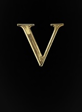 Guest_Vin787570
