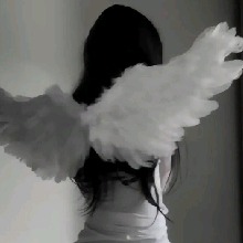 Guest_opyna