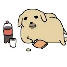 Guest_bearjelly41gmailcom