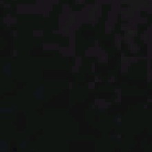 Guest_d1bb