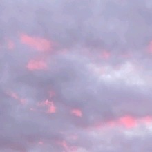 Guest_MadisonFitzgerald