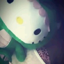 Guest_Dani973305