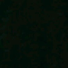 Guest_RassaSantos2