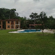 Guest_Fernanda883889