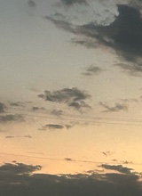 Guest_honeydewroyalfuc27be