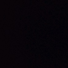 Guest_CarlaCristina4