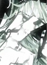 Guest_JACKSONSON