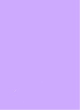 Guest_Amira651936