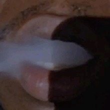 Guest_Steveo19x