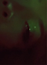 hisdelusionn