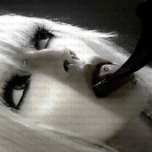 Guest_spooder1