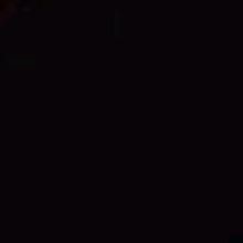 Guest_Gabryel10