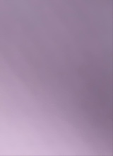 Guest_Ali244083