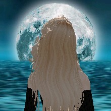 Guest_Lunavuu14