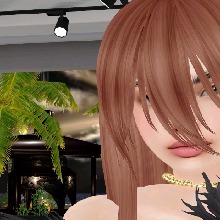 Guest_Chif2