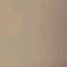 Guest_Laylamoon