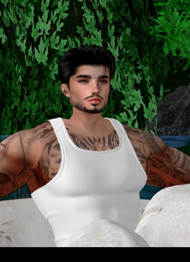 Guest_Zayn937642