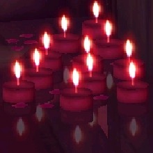 Guest_LiNyX5