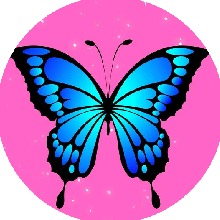 Guest_Bandida25y