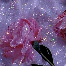 Guest_Taya20