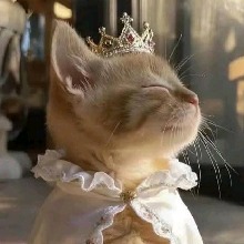 Guest_Meaw21