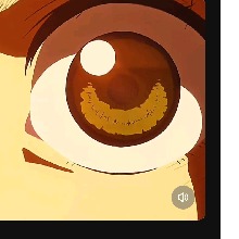 Guest_Bruno290628
