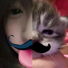 Guest_hanalesyaapearlly