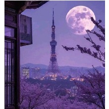 Guest_Ladylia3