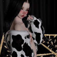 Guest_Dam17269901