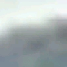 Guest_Renata362507