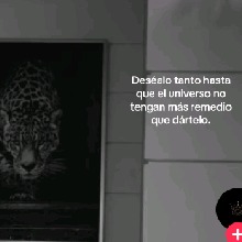 Guest_Valeavak