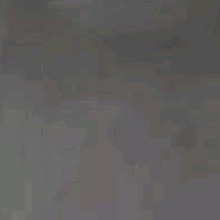 Guest_Aleraro