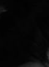 Guest_caosdoterrorS2