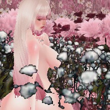 Guest_Alexa14006
