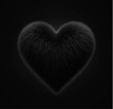 Guest_Keila376144