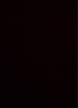 صورة الـavatar