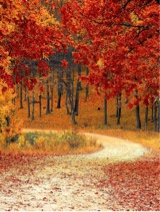 Guest_Prince223235